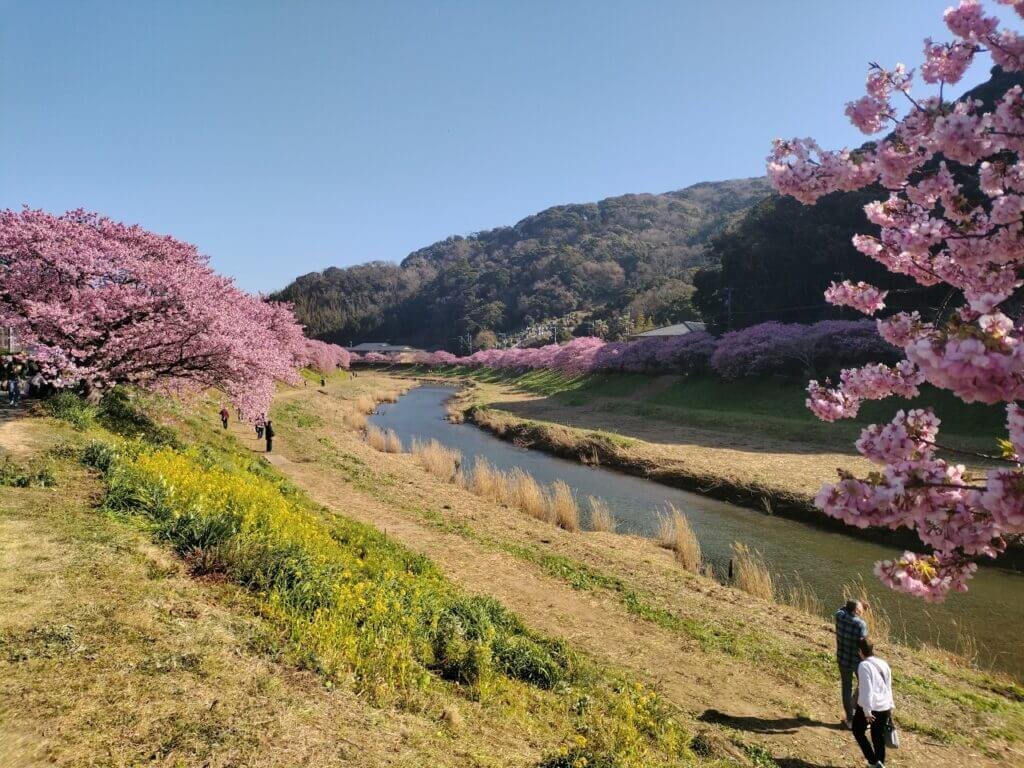 🏖️ 유미가하마 해변 이미지 9